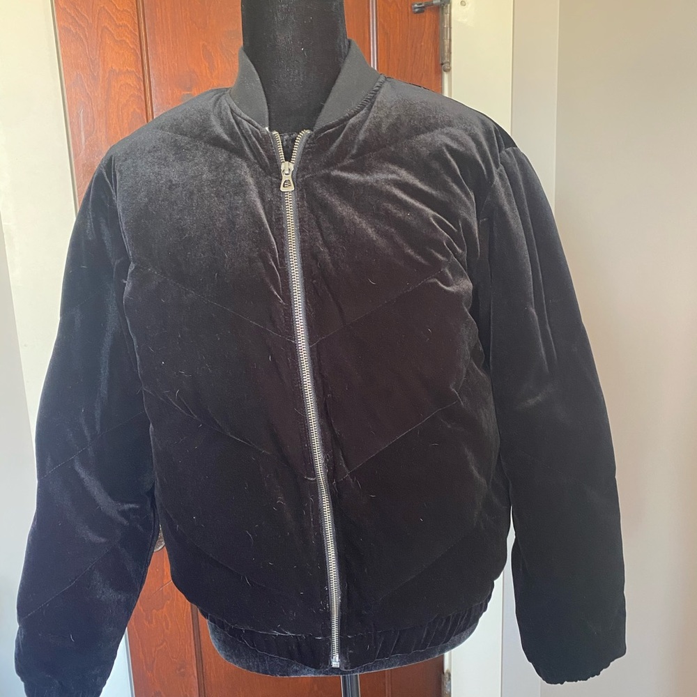 GAP velveteen puffer jacket